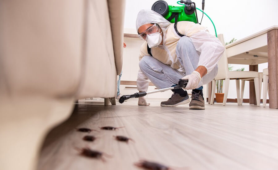 Ant Control