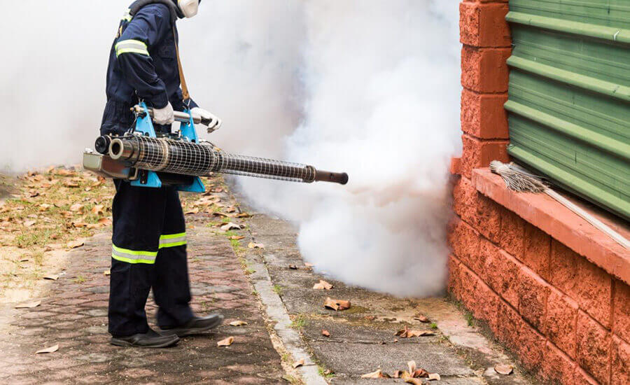 Mosquito Control