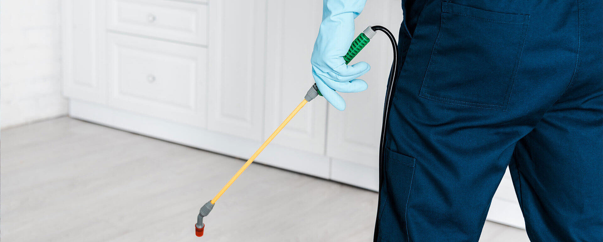 Pest Control Services